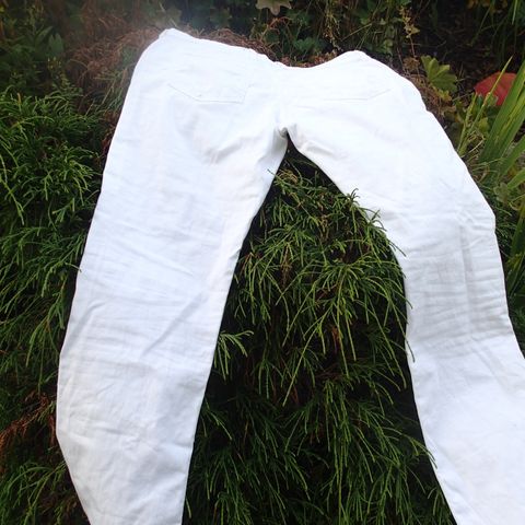 Hvit Jeans fra Riccovero