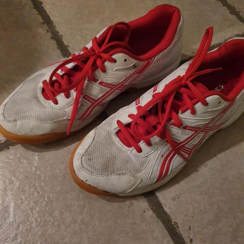 Asics innesko/hallsko 39,5