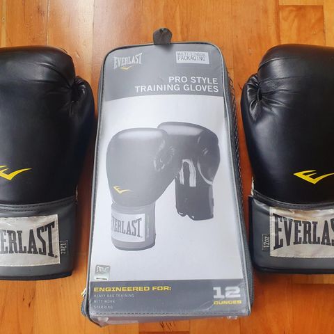 Everlast Pro Style Training Gloves (Black, 12 oz.)