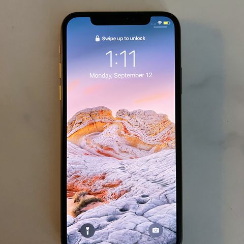 iPhone Xs 256 GB in Perfect Condition