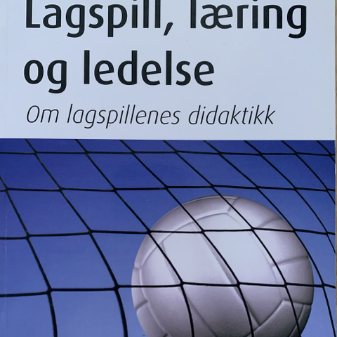 Lagspill, læring og ledelse