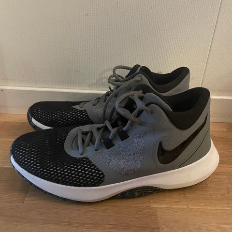 Nike basketsko str. 42