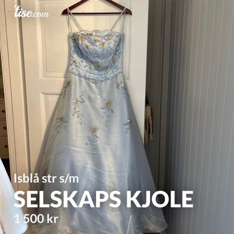 Selskapskjole/ Ballkjole