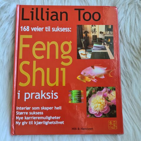 Feng shui i praksis: 168 veier til suksess