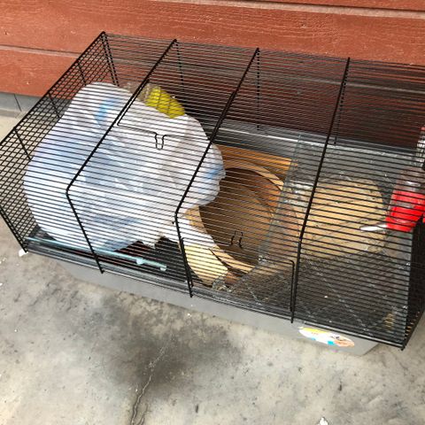 hamster bur med fullutstyr