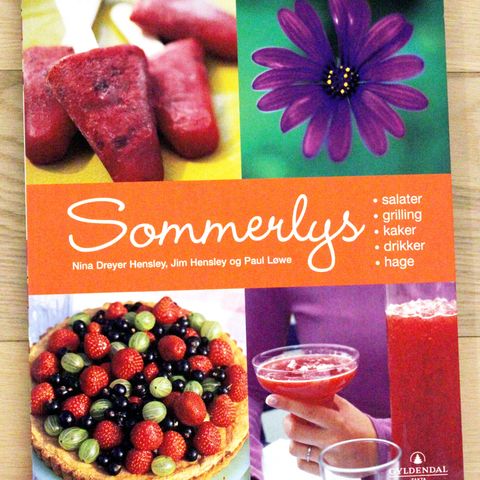 Sommerlys- softcover  interiør bok av  Nina Dreyer Hensley +