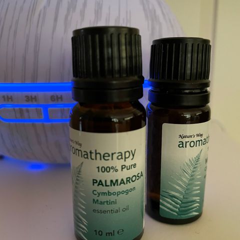 Aromatherapy Oil Palma Rosa