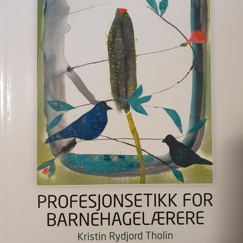 Profesjonsteknikk for barnehagelærere til salgs på Løren, Oslo.