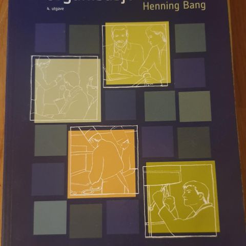 Organisasjonskuktur, Henning Bang