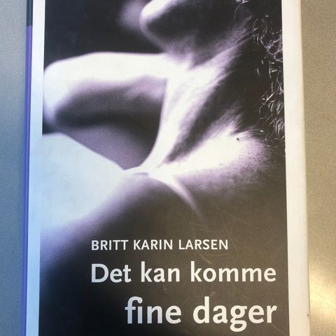 Det kan komme fine dager av Britt Karin Larsen