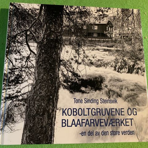 Koboltgruvene og blaafarveværket - en del av den store verden (2000)