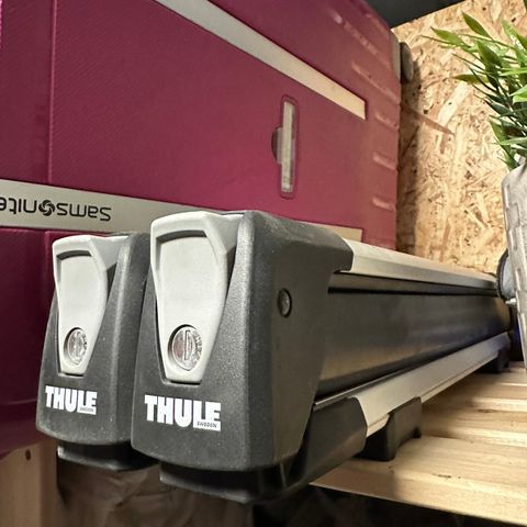 Thule skistativ