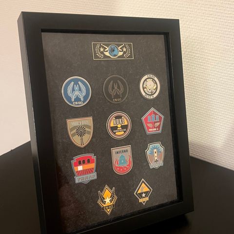 CSGO Serie 1 pins komplett samling