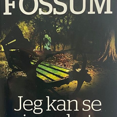 Karin Fossum: "Jeg kan se i mørket". Roman