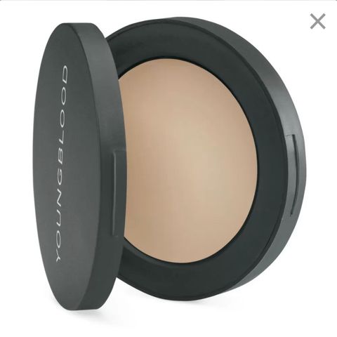 Young Blood ultimate concealer