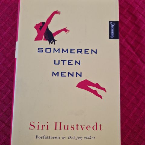 Sommeren uten menn - Siri Hustvedt