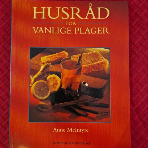 Husråd for vanlige plager - Anne McIntyre