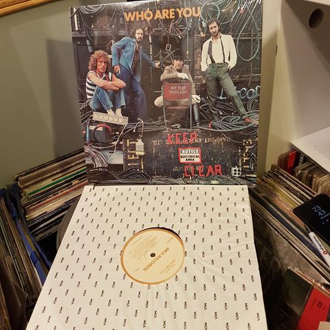 The Who who are you