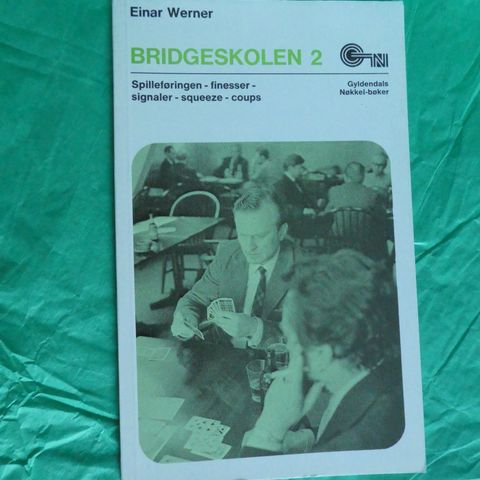 Bridgeskolen 2