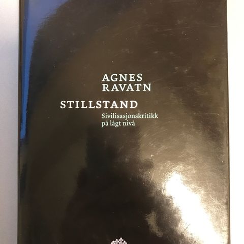 Stillstand av Agnes Ravatn