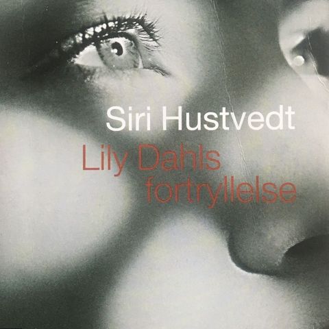 Siri Hustvedt: "Lily Dahls fortryllelse"