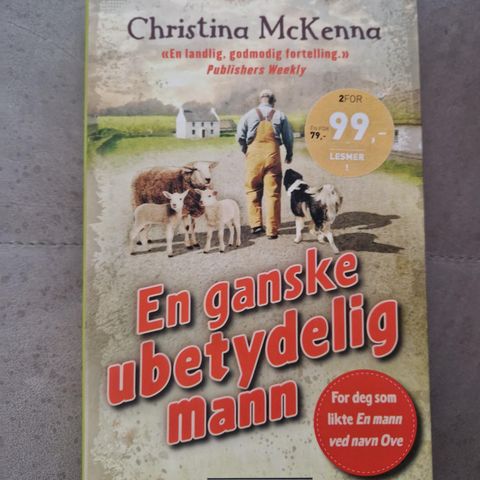 En ganske ubetydelig mann - Christina McKenna - Pocket