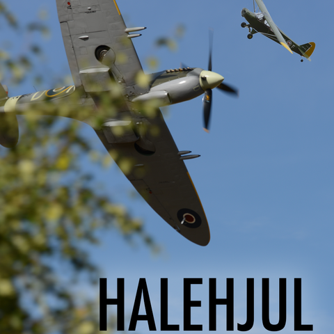 Halehjul