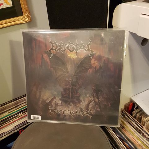 Degial predator reign