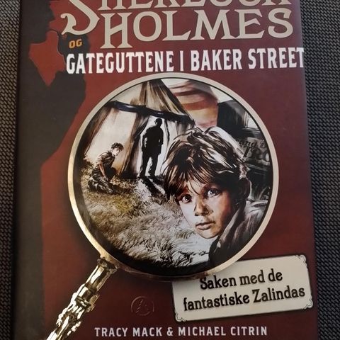 SHERLOCK HOLMES OG GUTTENE I BAKER STREET - Tracy Mack & Michael Citrin