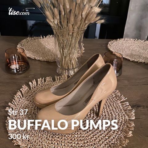 Buffalo pumps