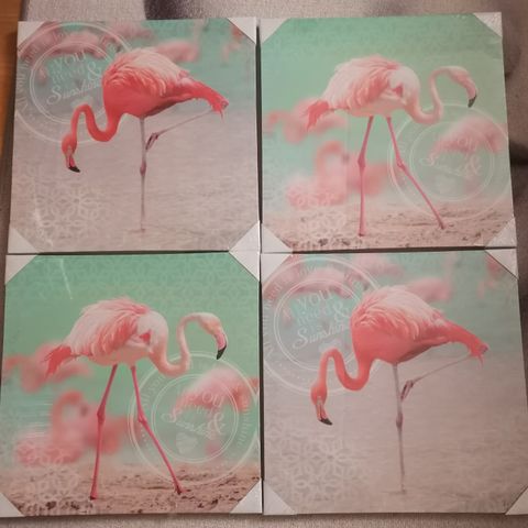 Helt nye flamingo veggbilder! 40x40