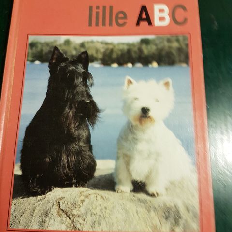 Nina Skådinn - Hundeeierens lille ABC