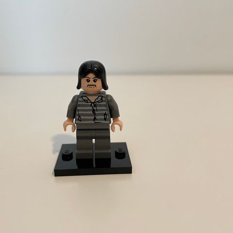 LEGO Harry Potter Sirius Black (hp045)