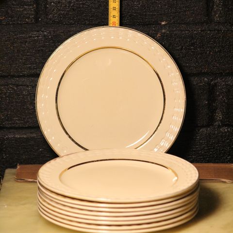 9 stk tallerkener fra  Adams Royal Ivory Titan Ware