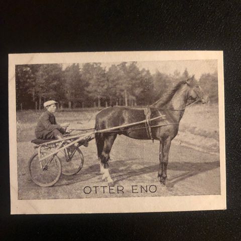 Otter Eno Leif Holmsen Rakkestad The Eno Trav Bjerke sigarettkort 1925