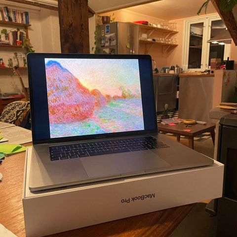 Macbook Pro 15 tommer 256 GB (2018)