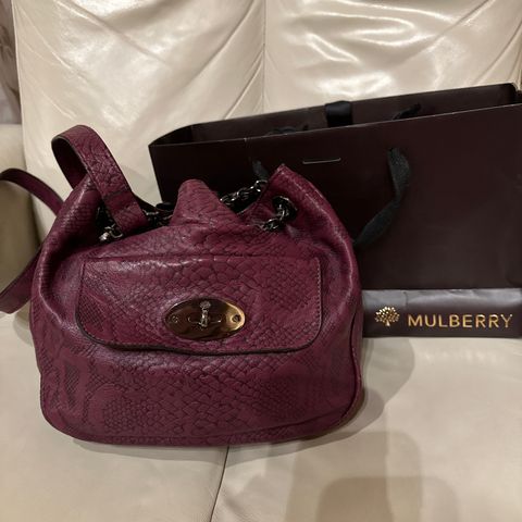 Mulberry Cory