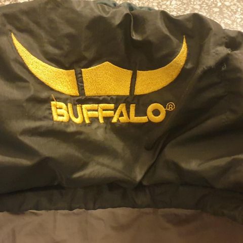 Buffalo sovepose