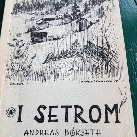 Andreas Bøkseth - I setrom