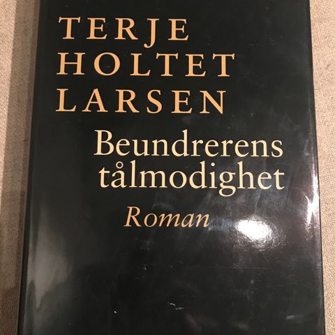 Benundrerens tålmodighet av Terje Holtet Larsen