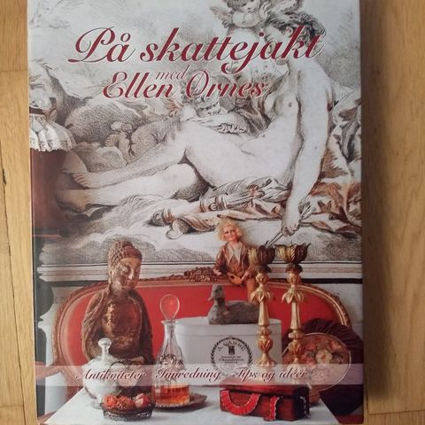 På skattejakt med Ellen Ørnes - stor og flott bok