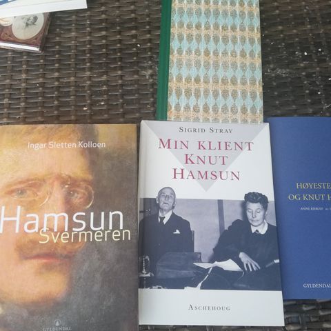 KNUT HAMSUN LITTERATUR