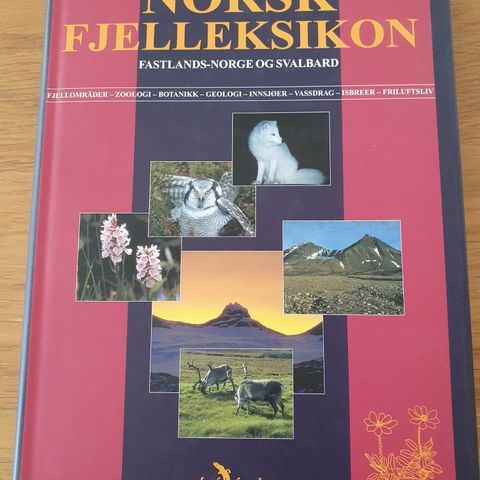 Norsk fjelleksikon