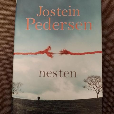 NESTEN - Jostein Pedersen