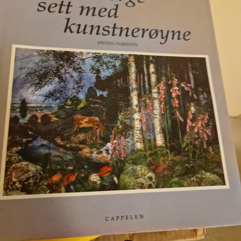 NORGE SETT MED KUNSTNERØYNE