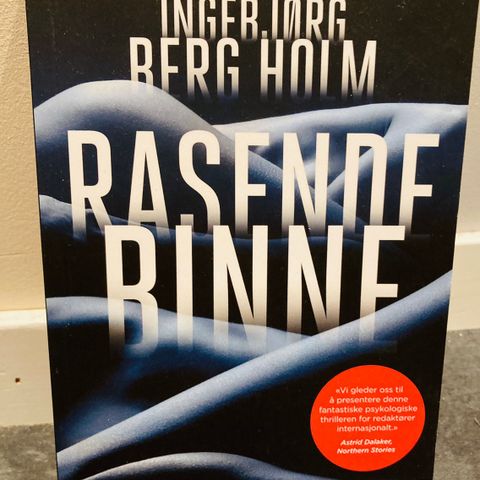 Ingebjørg Berg Holm - Rasende binne - bok krim