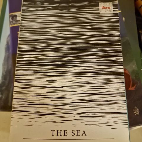 The Sea - John Banville