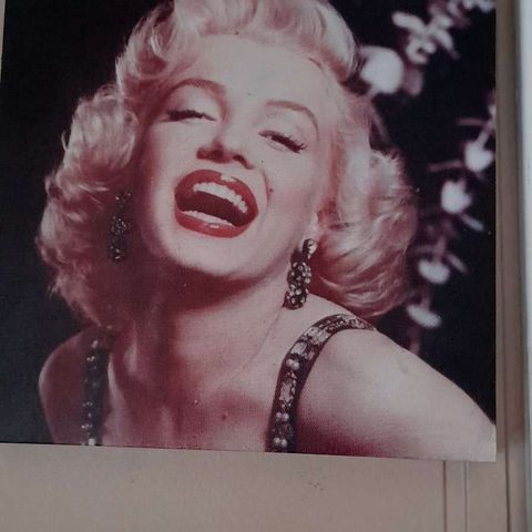 Marilyn Monroe-portrett
