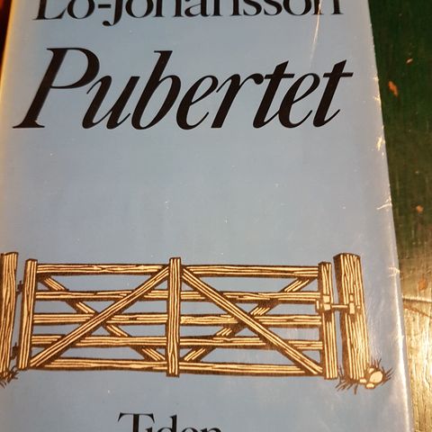 Ivar Lo-Johansson - Pubertet