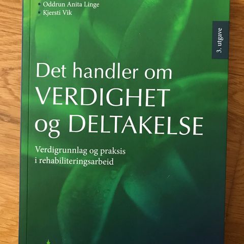 Verdighet og deltakelse